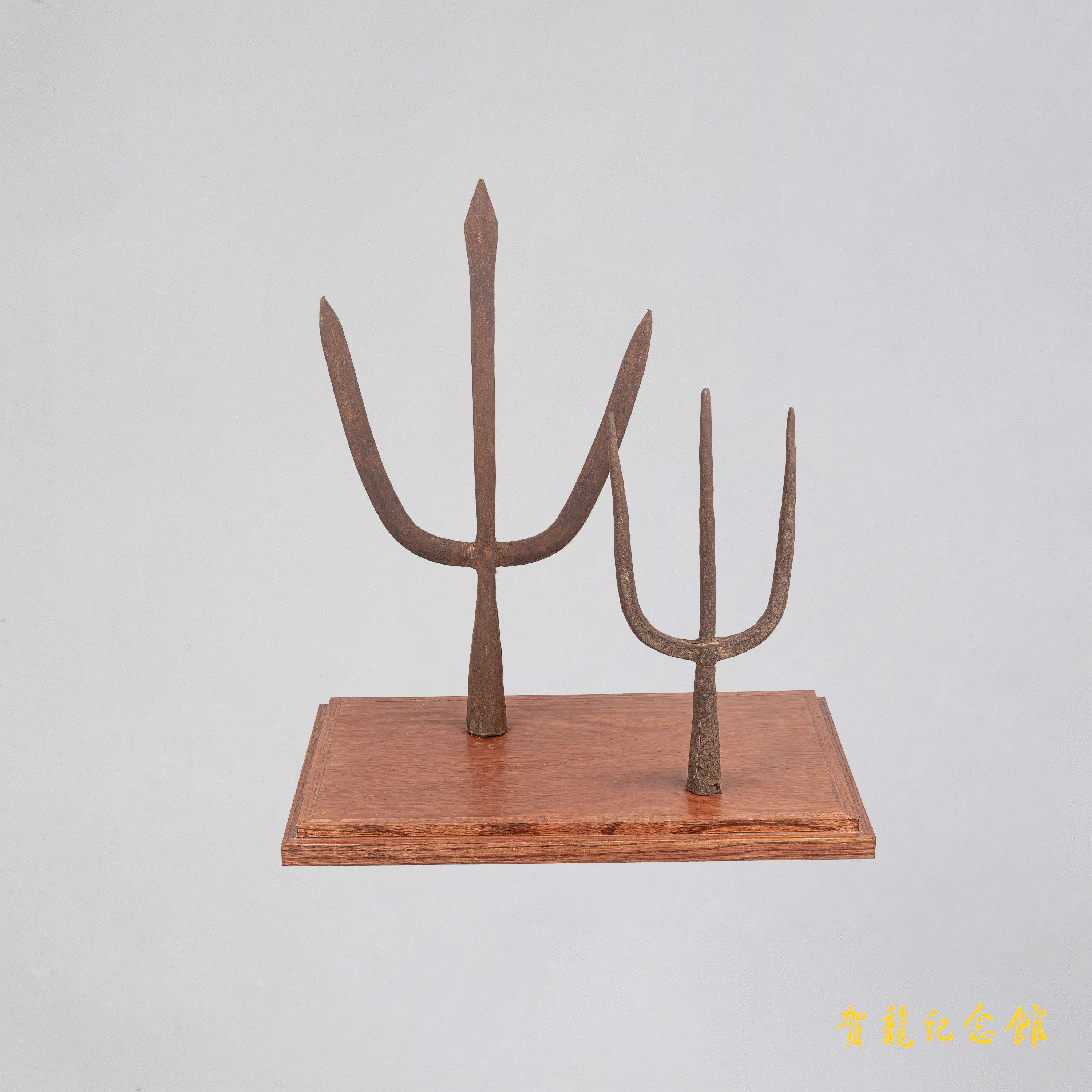 桑植起义工农革命军用过的牛交叉