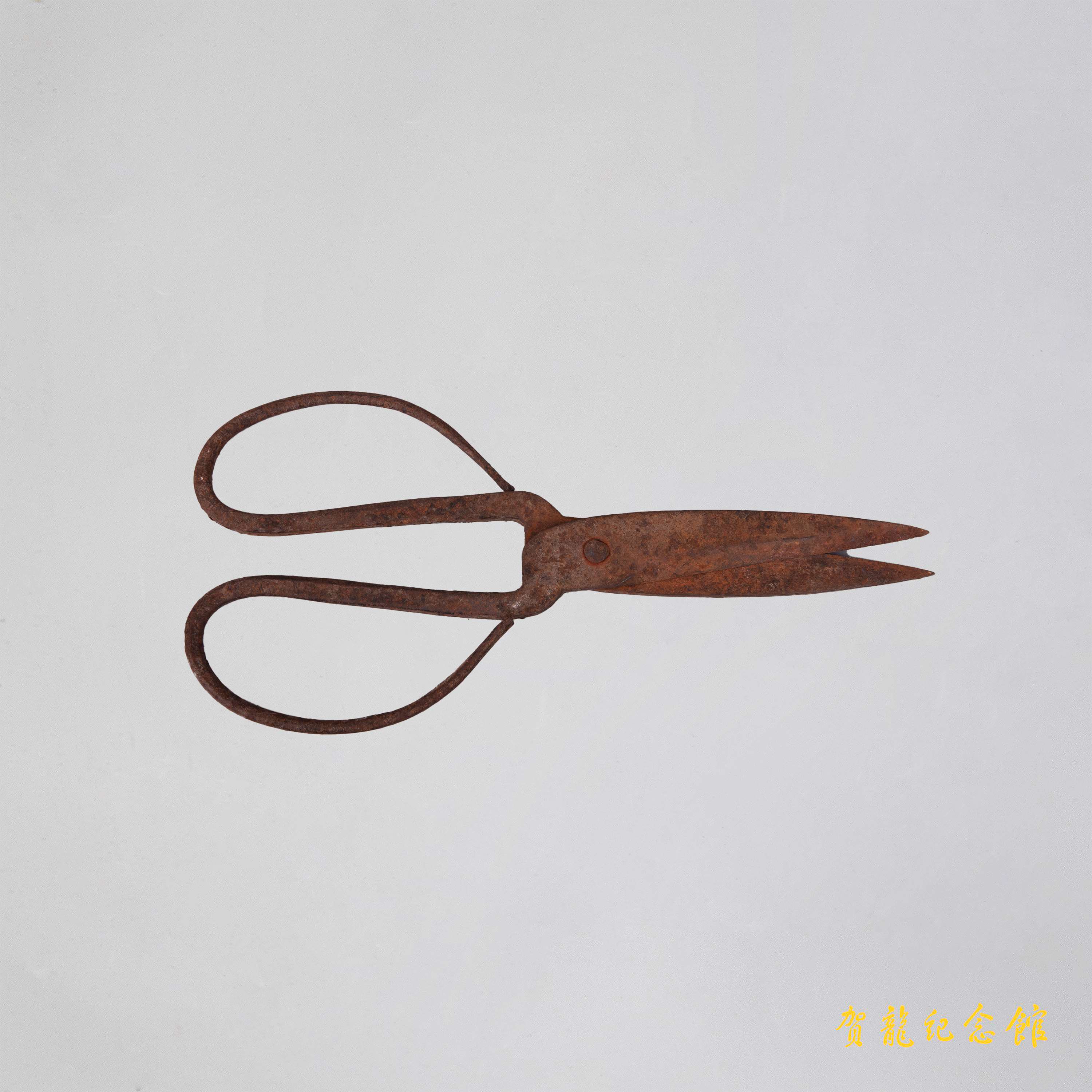 贺炳炎手术用剪刀